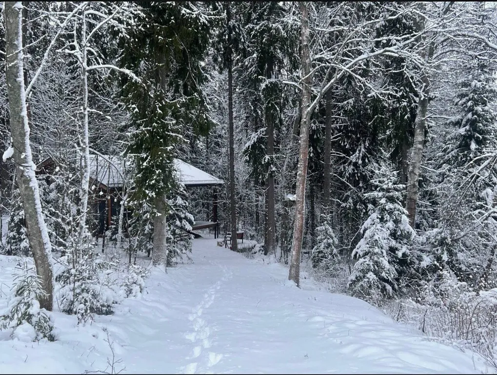 Коттедж Сказочный Шале с камином и джакузи в живописном лесу — Шадрино