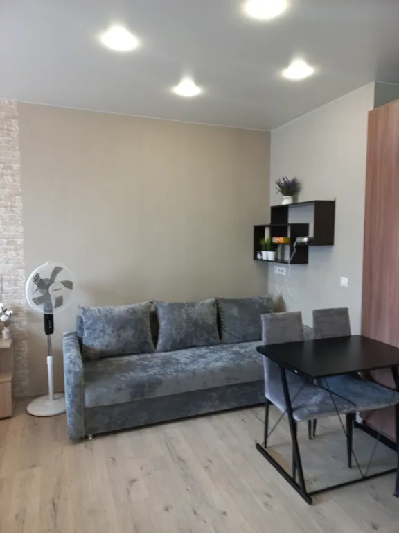 Большая, солнечная студия с перегородкой