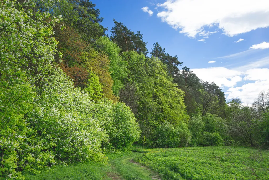 Барнхаус Haier Grand