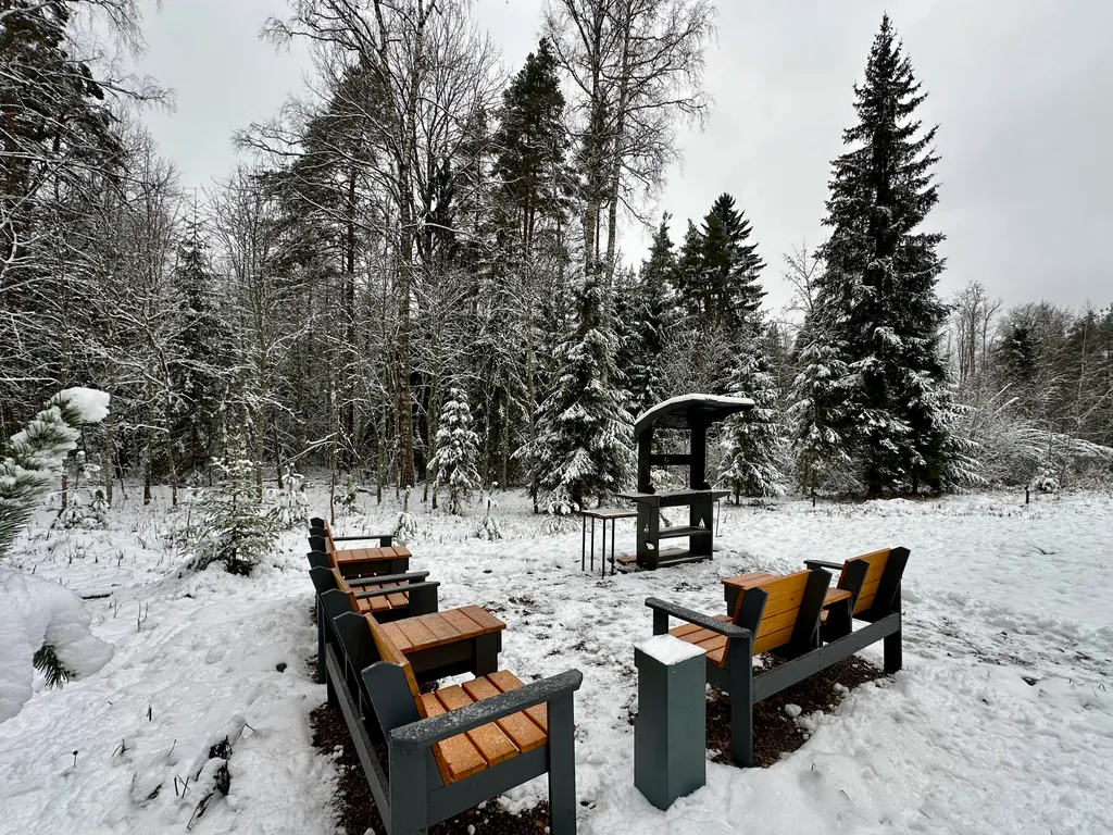 Дом с панорамными окнами в лес