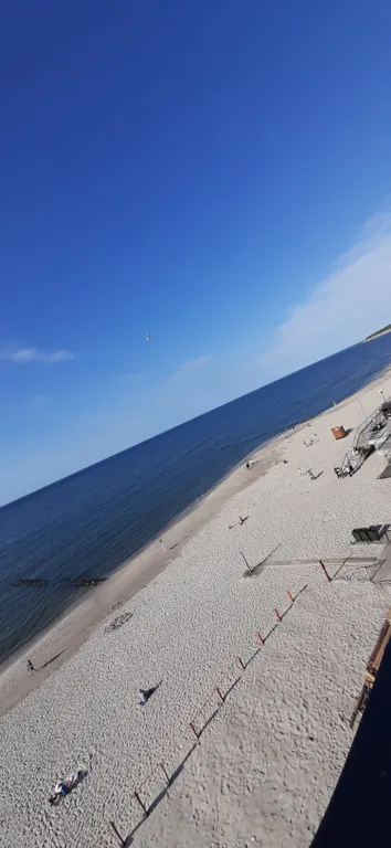 Квартира Отдых на берегу Балтийского моря на пляже с синим флагом — аренда посуточно в Пионерский