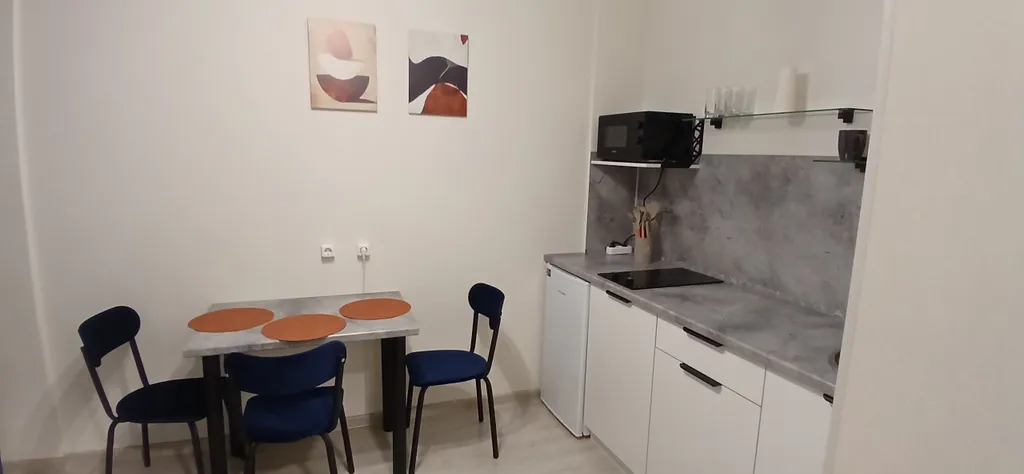 Апартаменты Терра — яркая, современная квартира с высокими потолками