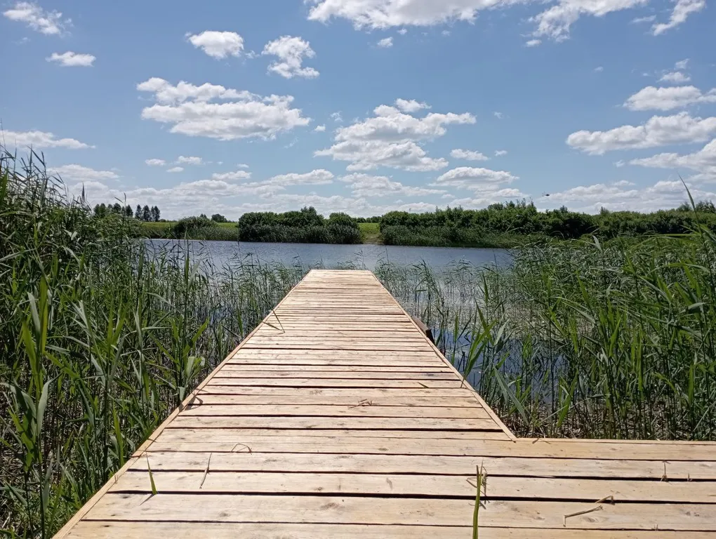 Коттедж Уютный дом на берегу озера — Москва