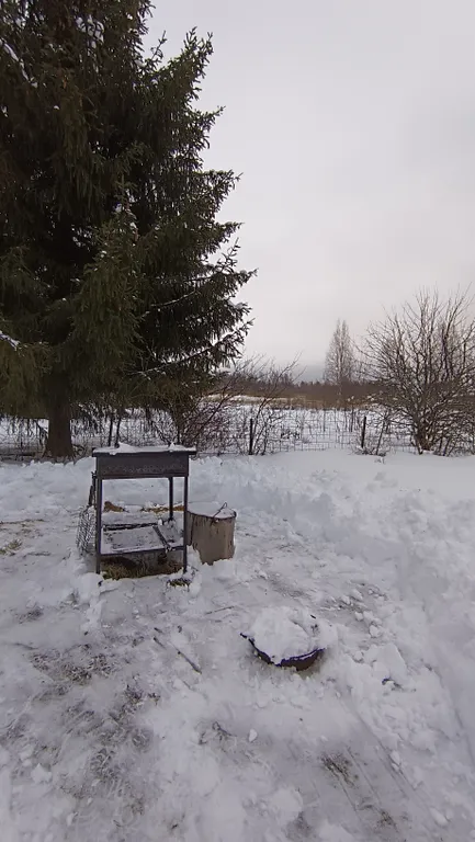 Коттедж на Селигере