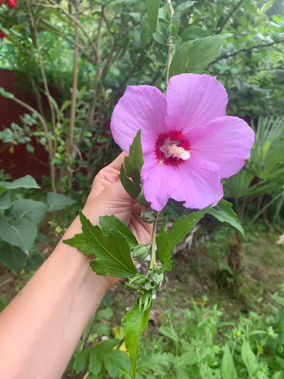 Коттедж Коттедж Голицино — Сочи