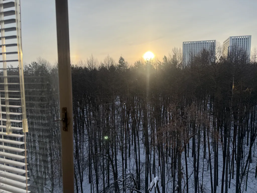 Уютная квартира с видом на парк