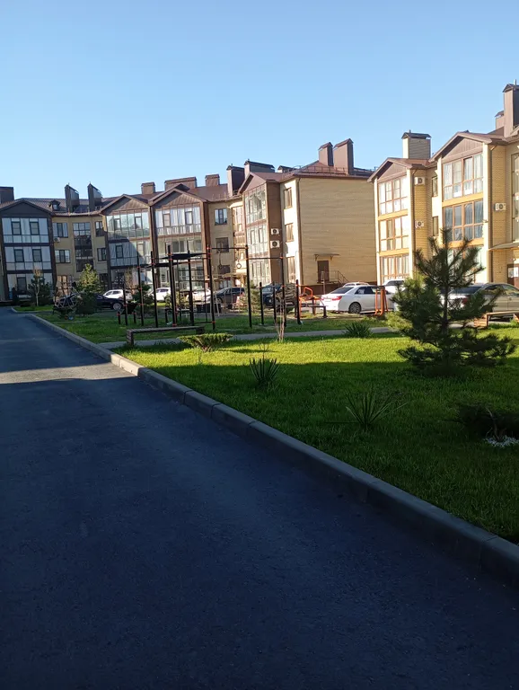 Квартира с цветами