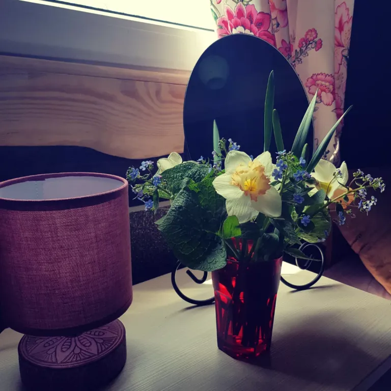 Уютный домик в Беловежской пуще, для тех, кто ценит тишину