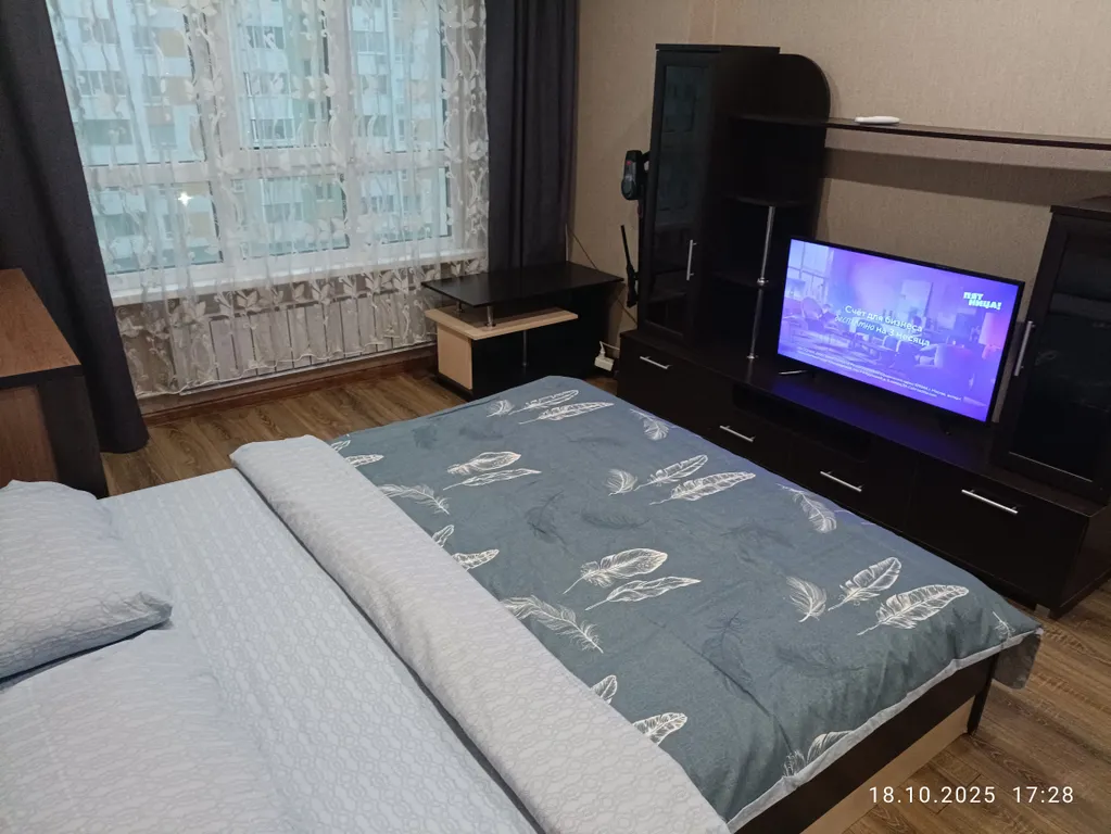 Однокомнатная на Алабина