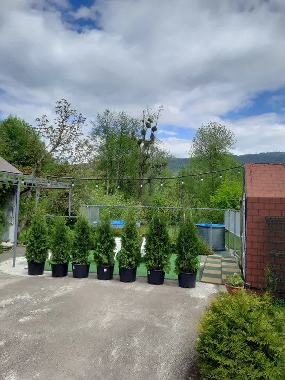 Милый домик в стиле прованс с камином, горячей купелью, баней, бассейном