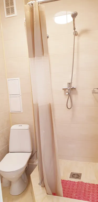 Квартира Львиный Домик