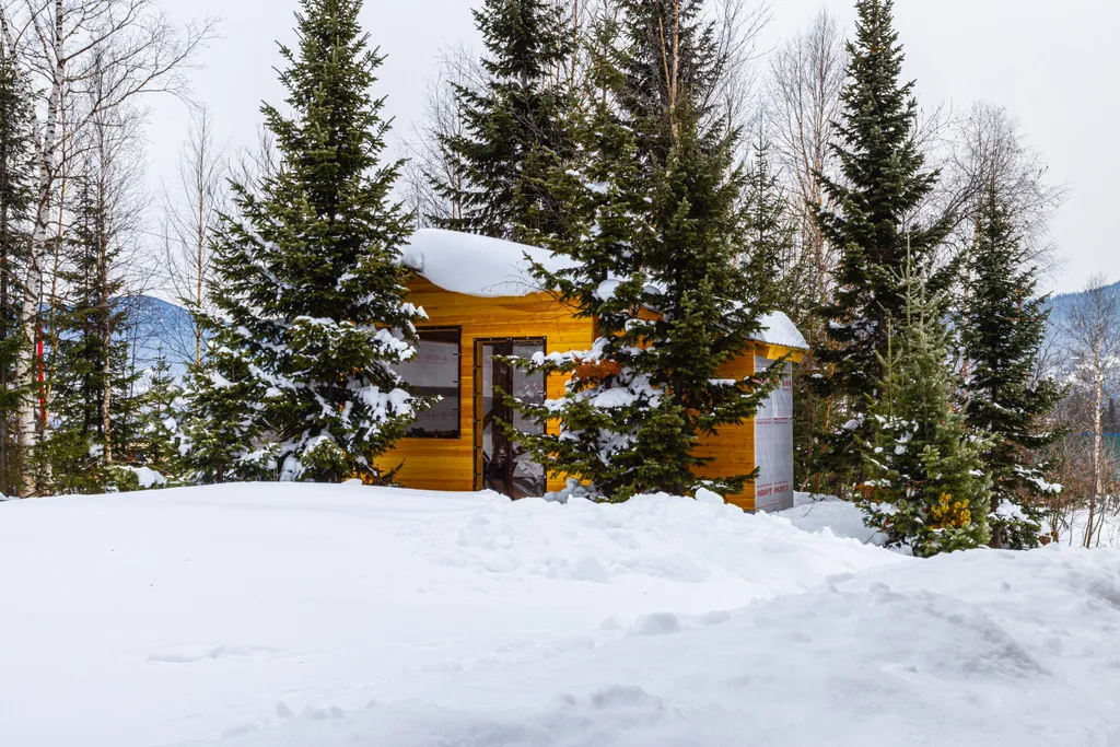 Уютный и просторный коттедж в стиле Шале