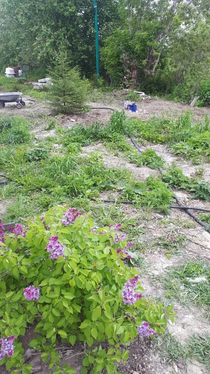 Коттедж 2-комнатный Дом — Луховицы