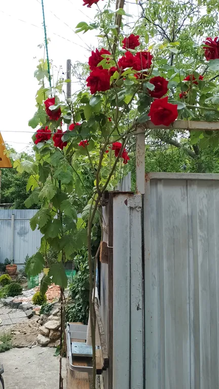 Уютная квартира в центре Тихая Гавань
