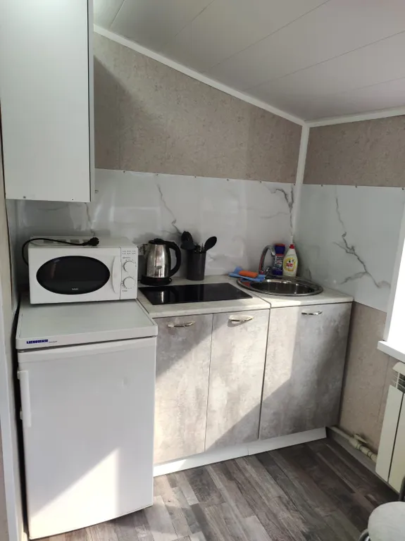 Однокомнатная квартира в коттедже