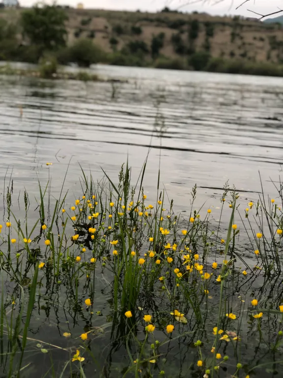 Коттедж Гостевой дом Речной релакс — Миатли