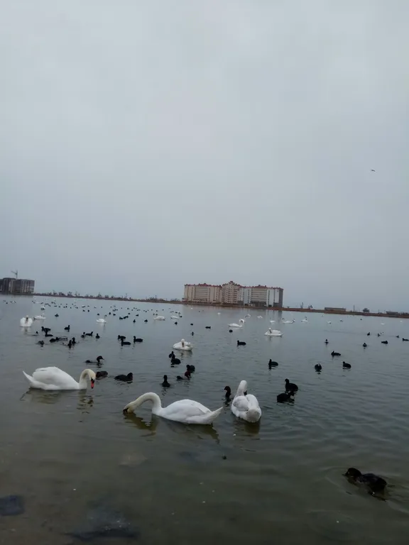 Отдых в золотых песках Крыма