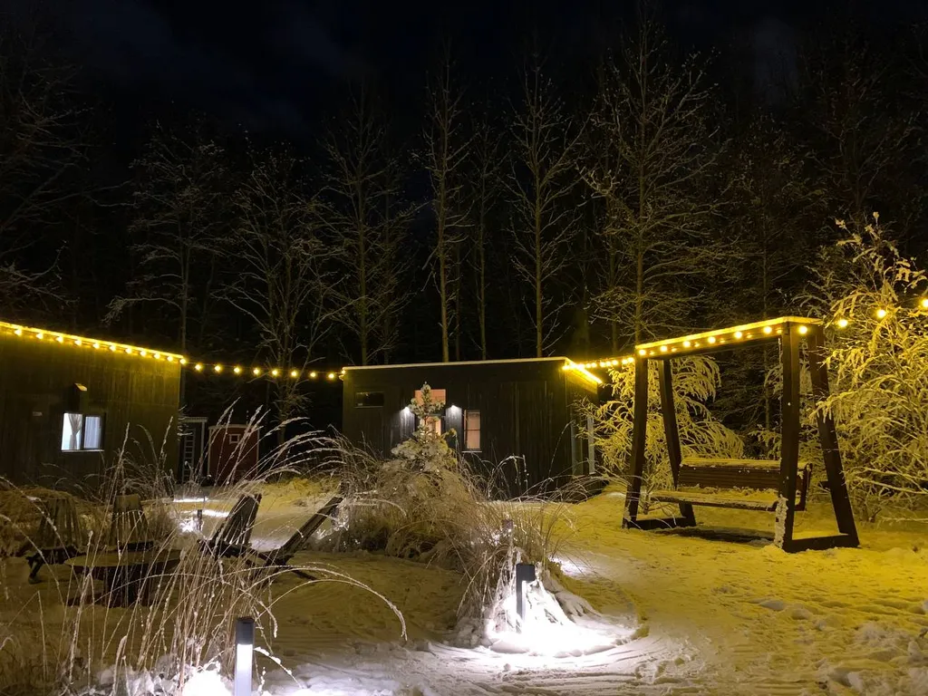 Коттедж Домики с панорамными окнами и видом на лес — Глинка