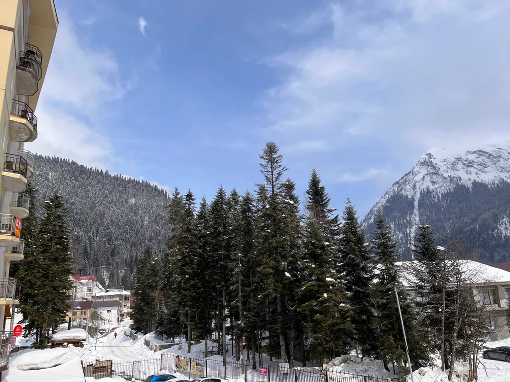 Апартамент (корпус) Пихта