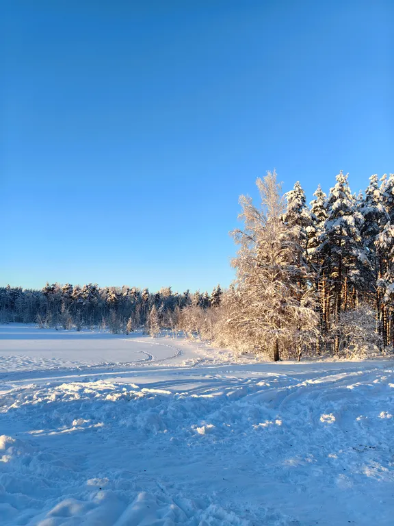 Дом у ручья