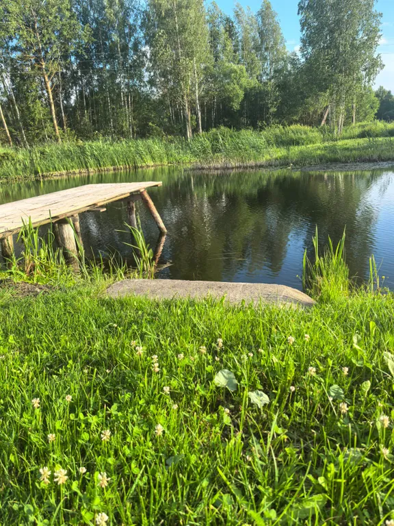 Семейный улучшенный