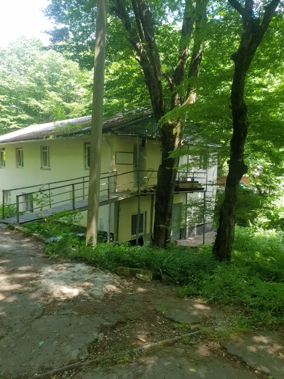 Большой дом для большой компании