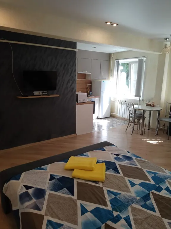 Уютная студия на Николо-Козинской