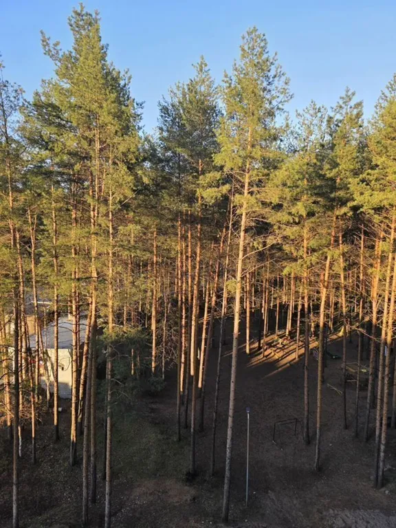 Квартира рядом с Институтом Сердца, отчетные документы