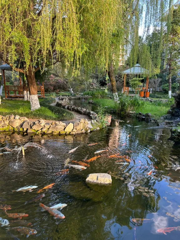 Квартира на земле c террасой и собственным садом в Дрим Лэнд Oasis