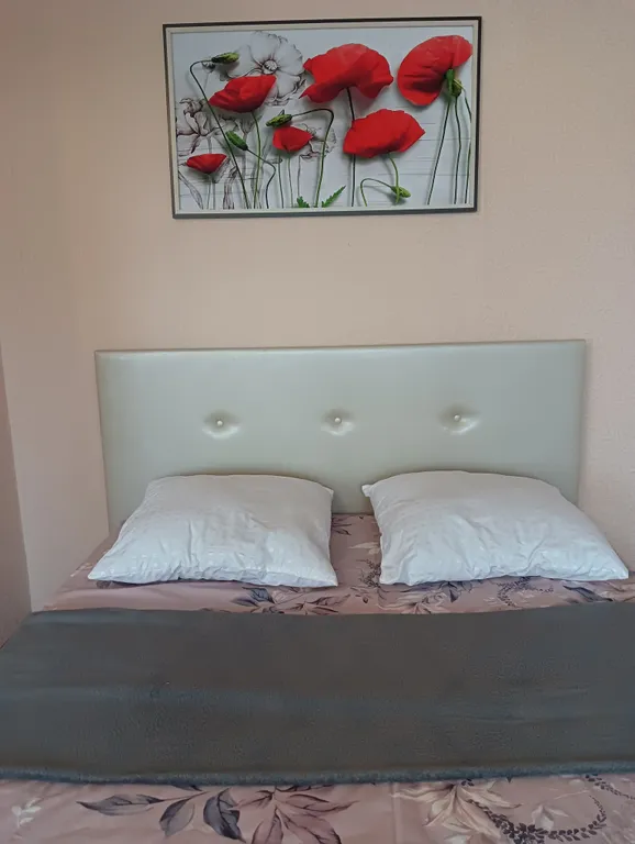 Просторная уютная квартира