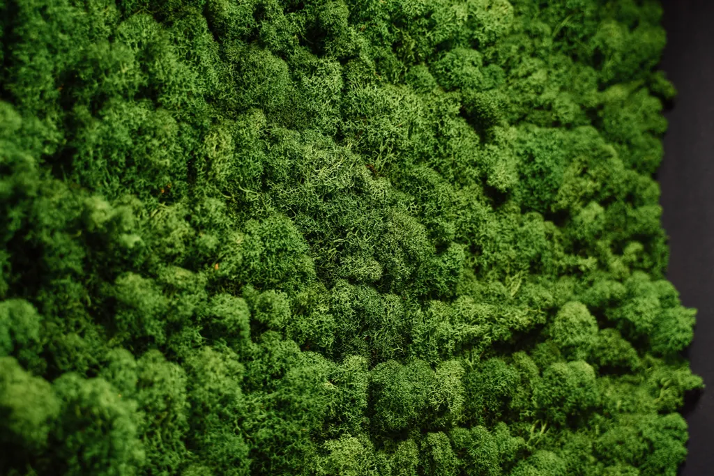 Апартаменты в центре