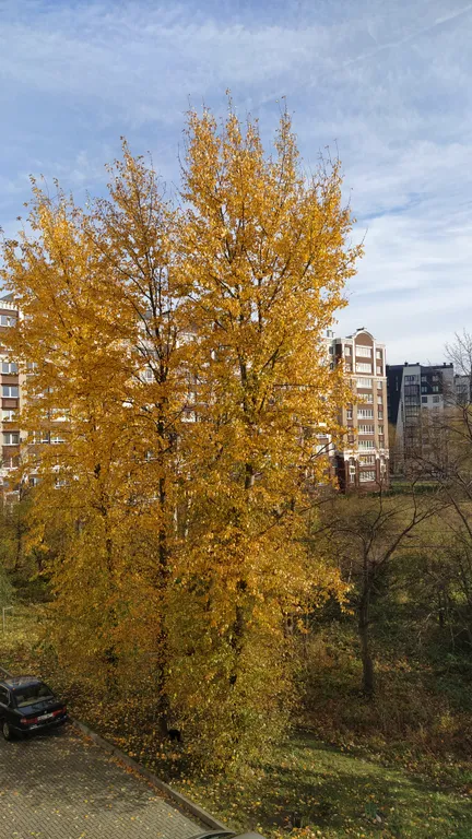 Квартира Апартаменты Сантарини — Зеленоградск