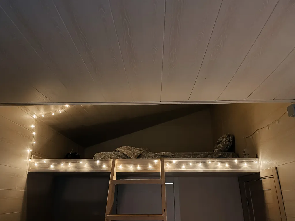 Глэмпинг Папоротник