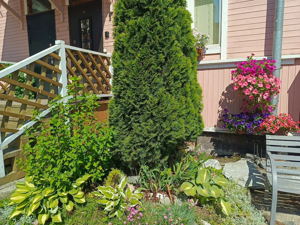 Квартира Квартира в тихом центре города со своей парковкой — Сортавала