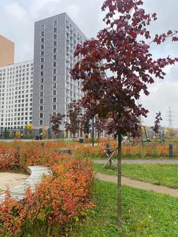 Уютная студия на 25 этаже