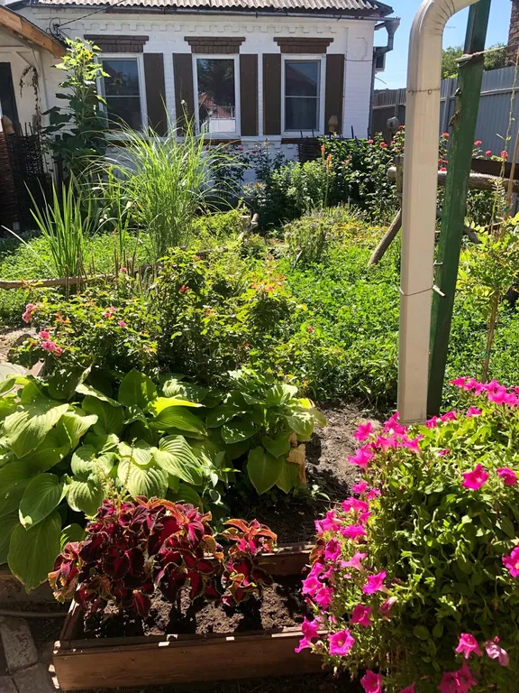 Ростов казачий