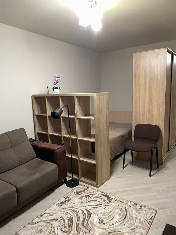 Просторная однокомнатная квартира у метро