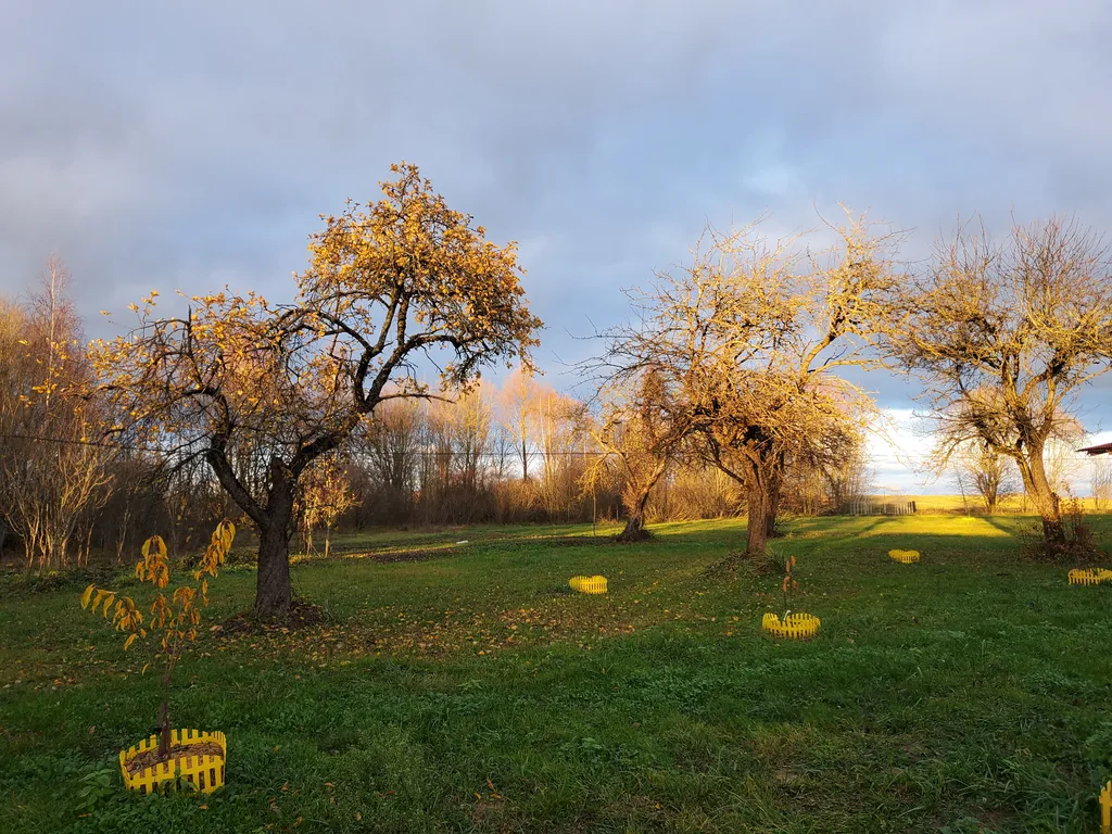 Усадьба Форт Логово