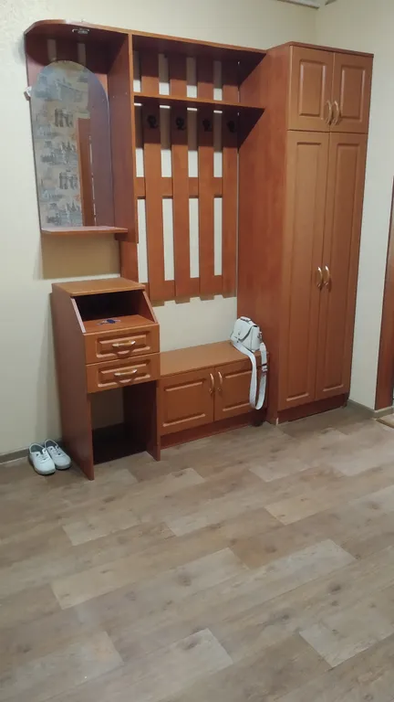 Большая однушечка со спальным местом на кухне рядом с центром