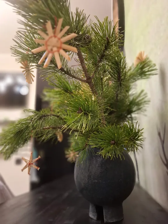 Квартира Квартира в гармонии с природой — Светлогорск