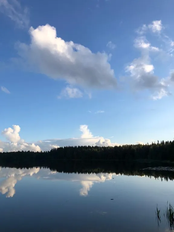 Дизайнерский коттедж Лето