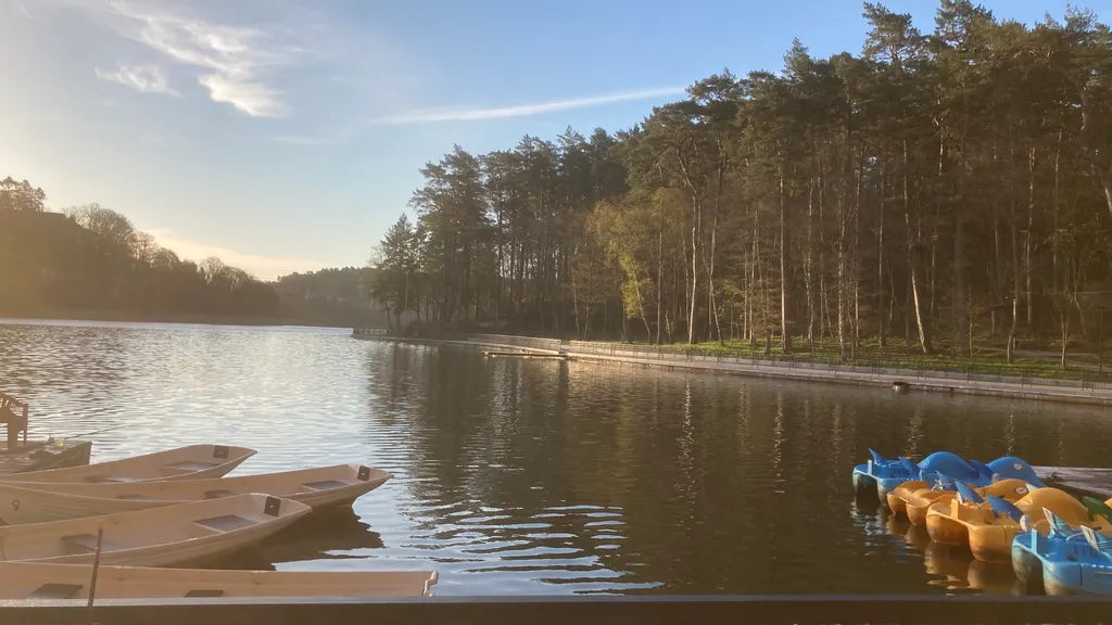 Квартира Квартира В Гостях у Зверяток — Светлогорск