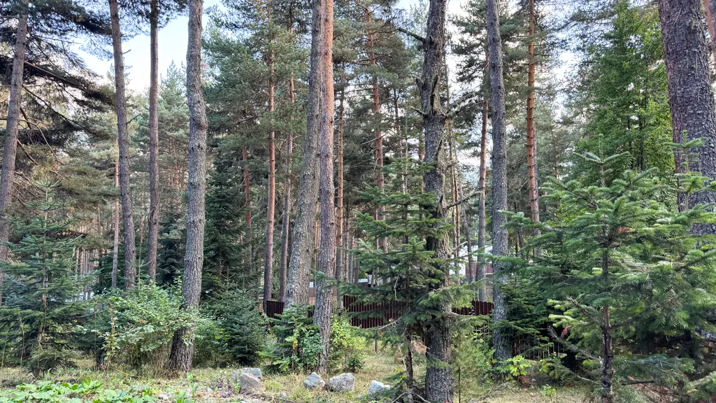 Уютный дом в тихой части Архыза