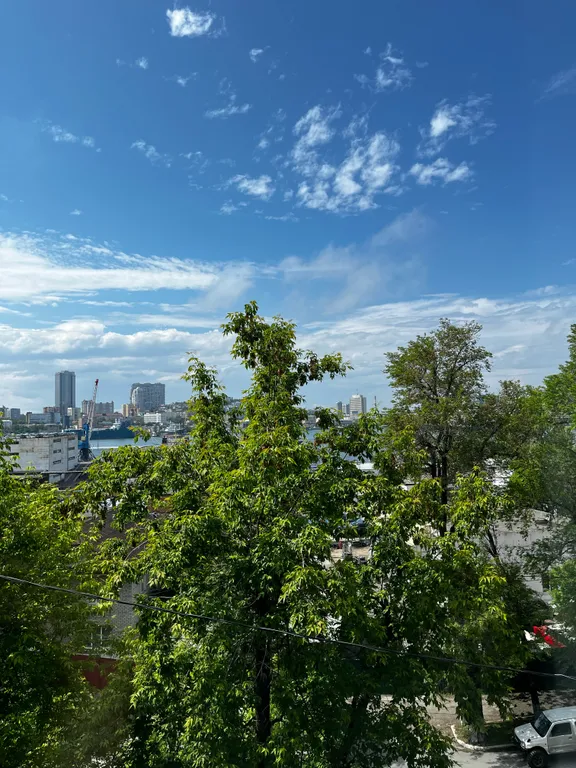 Уютная студия с видом на Золотой рог