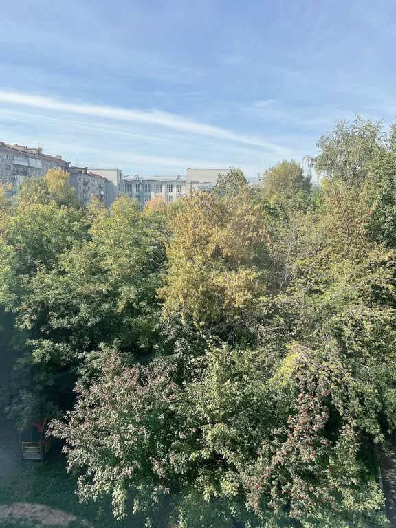 Квартира Уютная квартира в самом центре города с парковкой — Новосибирск