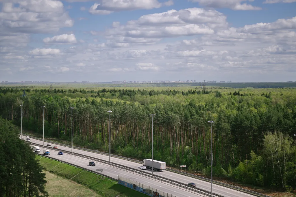 Новая квартира комфорт-класса у леса