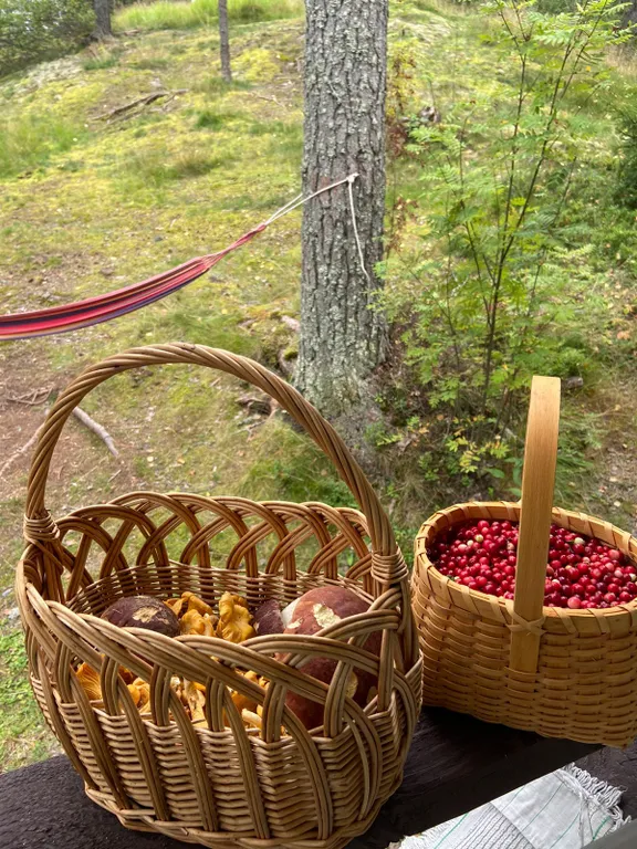 Коттедж Гостевой дом Русь Карелия — Микли