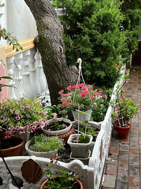 Уютный домик со двором