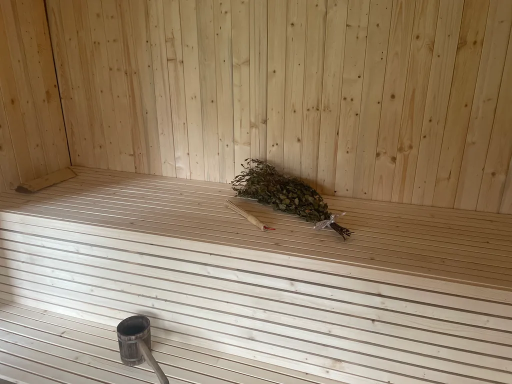 Зеркальный дом в аренду подмосковье