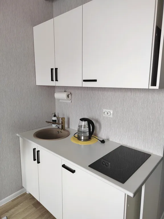 Квартира Квартира Уютная студия на Чистой Слободе — Новосибирск